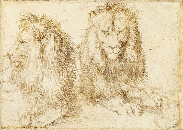   阿尔布雷特·丢勒Albrecht Dürer——素描与版画 (49)